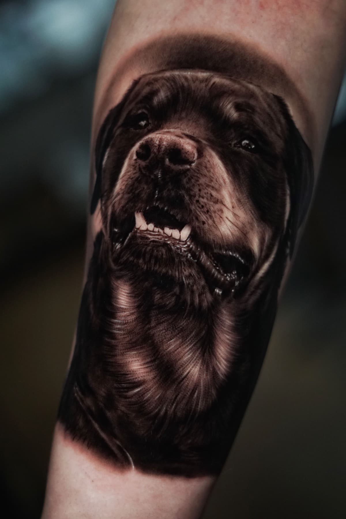 Tatuaje Retrato